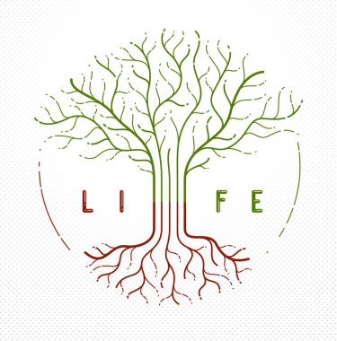 Yaşam, yaşam ve ölüm ağacı, yaşam döngüsü, vektör logosu doğrusal çizim, klasik sembol.