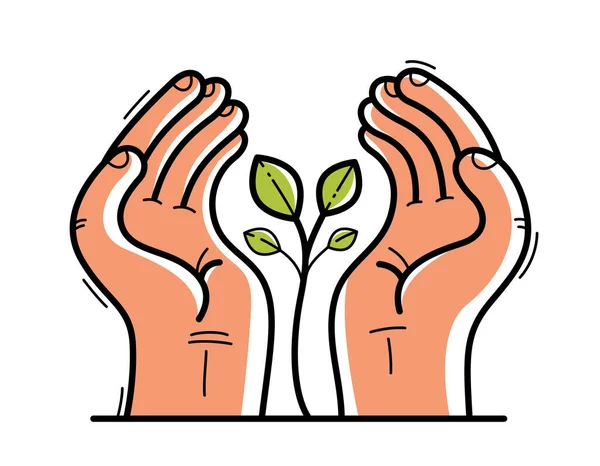 Deux Mains Avec Petite Plante Protégeant Montrant Vecteur Soins Illustration — Image vectorielle