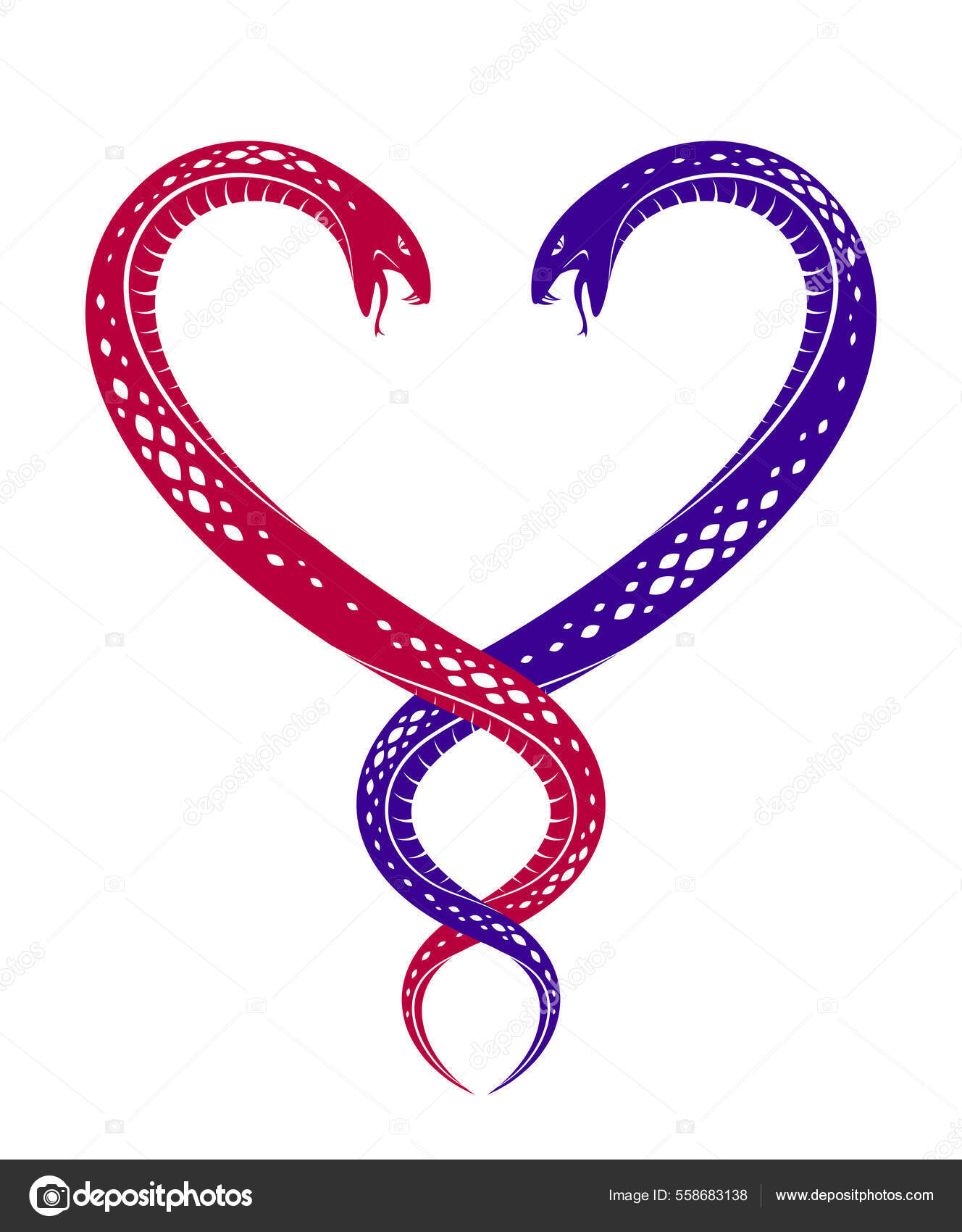 ハートの形の二匹の蛇 愛は残酷な概念 恋人のカップルと主張 ベクトルのロゴ エンブレムやビンテージのクラシックなスタイルのタトゥーの中で喧嘩  ストックベクター ©Ostapius 558683138, image size:1328x1700