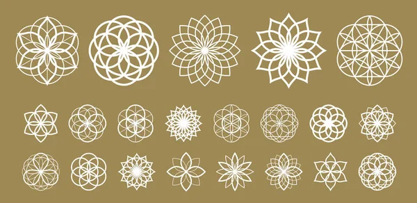 Flower Life Vector Ancient Esoteric Symbol Big Vector Set — Wektor stockowy