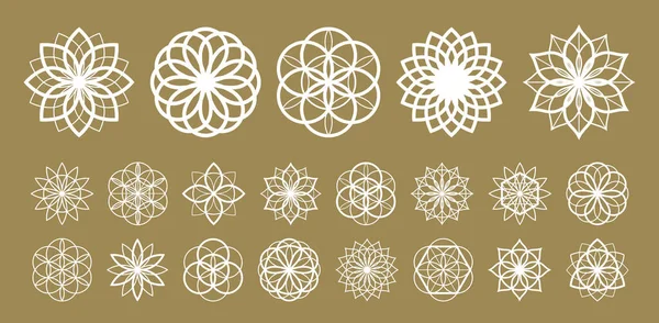 Fleur Vie Vecteur Ancien Symbole Ésotérique Grand Ensemble Vectoriel — Image vectorielle