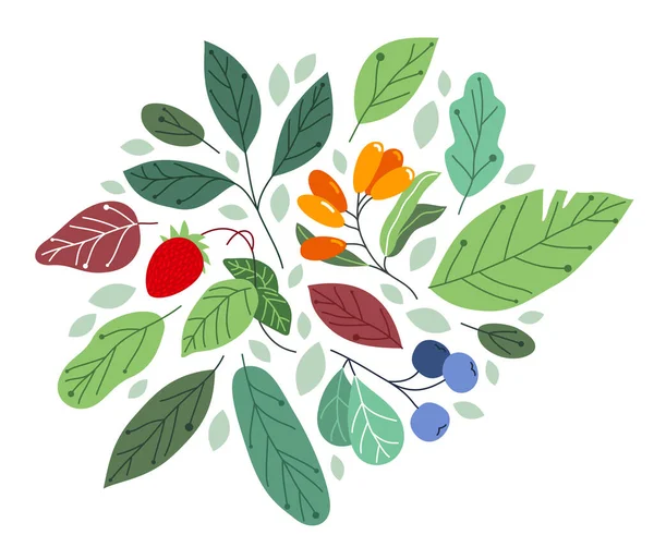 Fruits Sauvages Frais Mûrs Savoureux Aliments Sains Avec Des Feuilles — Image vectorielle