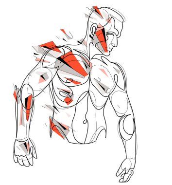 Linear drawing of a perfect body fit model man posing vector illustration isolated, muscular macho sexy guy with naked torso topless.