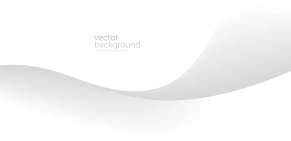 Fließende Graue Kurvenform Mit Weichem Gradienten Vektor Abstrakten Hintergrund Entspannende — Stockvektor