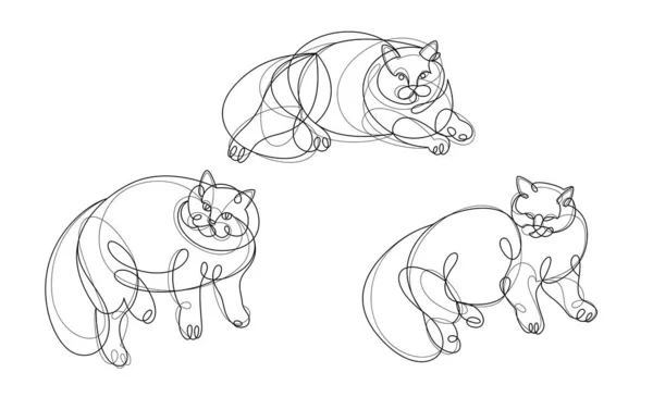 Nice Cute Cat Linear Vector Illustrations Set Line Art Drawings — Vettoriale Stock