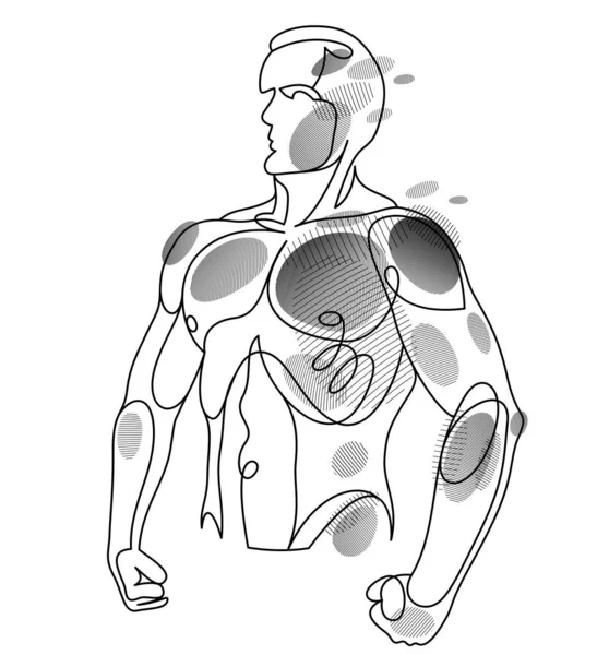 Athletic Man Torso Vector Linear Illustration Male Beauty Perfect Muscular — ストックベクタ