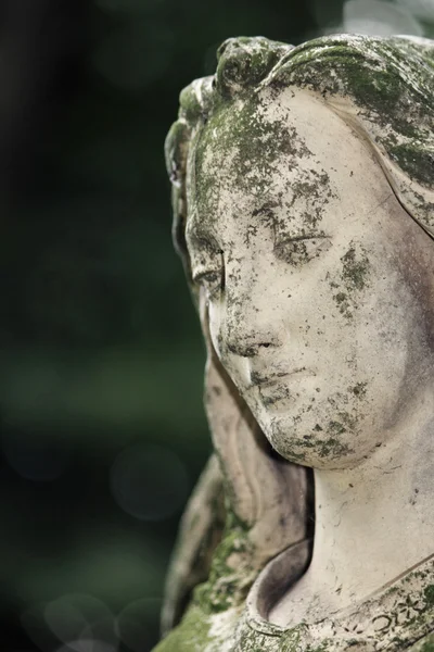 Figura de anjo — Fotografia de Stock