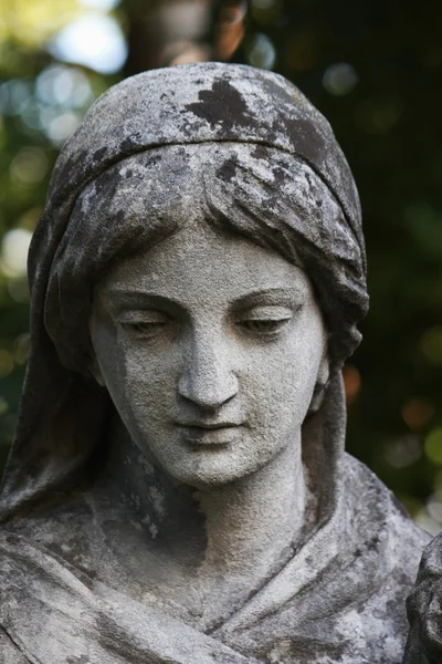 Estátua de Maria virgem — Fotografia de Stock