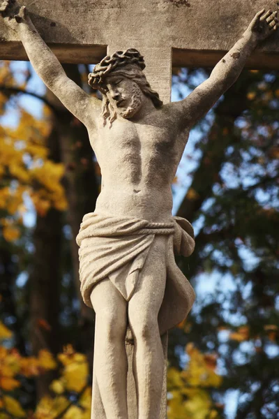 Jesus Cristo. — Fotografia de Stock