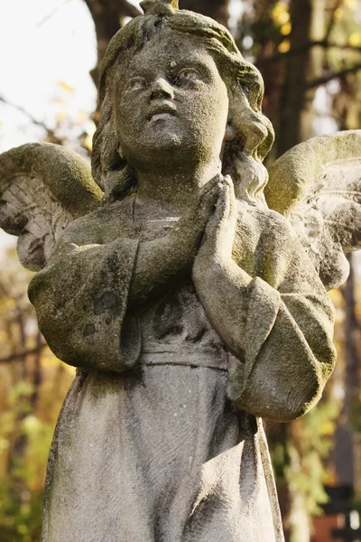 Σχήμα του ένα προσεύχεται αγγέλου — Φωτογραφία Αρχείου
