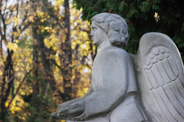 Figura de um anjo orante — Fotografia de Stock