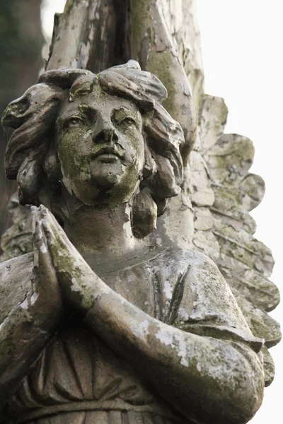 Figura de um anjo orante — Fotografia de Stock