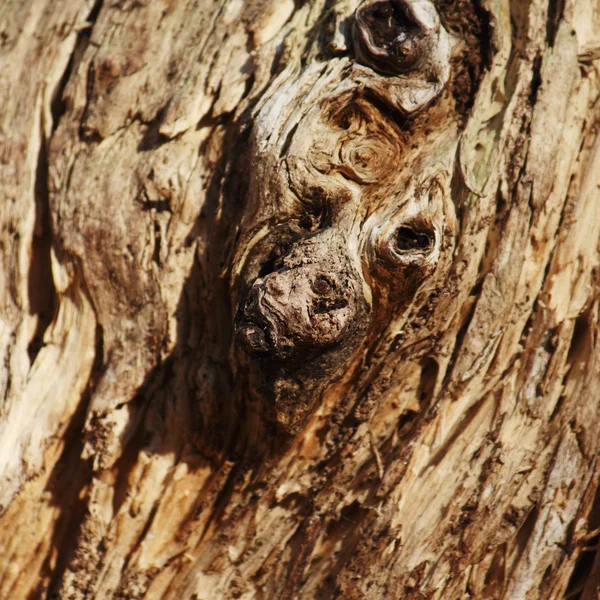 Struttura in legno — Foto Stock