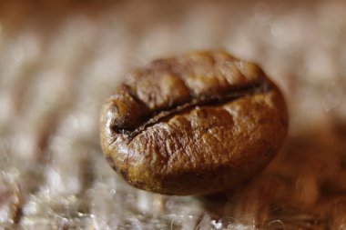 kahve grunge arka plan