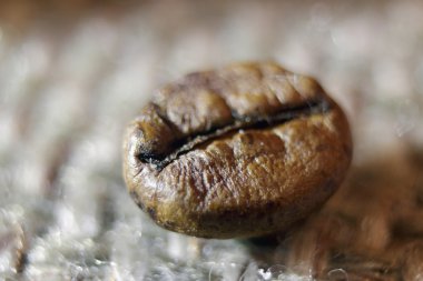 kahve grunge arka plan