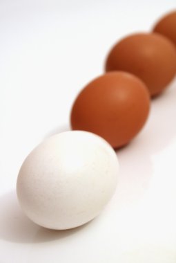 açık renkli fıstık fındık