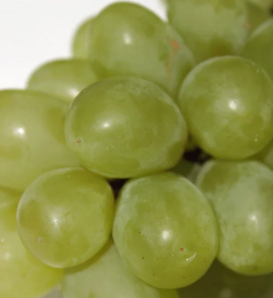 Bunch of grapes on a light background — Stock Photo, Image