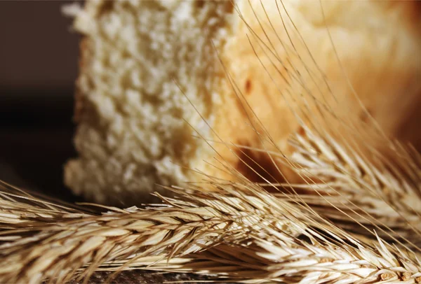 Brood en tarwe oren — Stockfoto