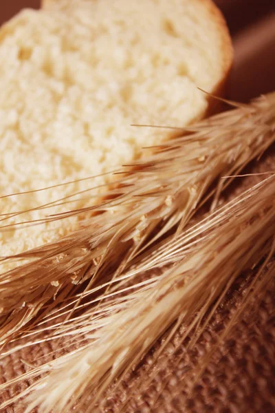 Hojas de pan y trigo — Foto de Stock