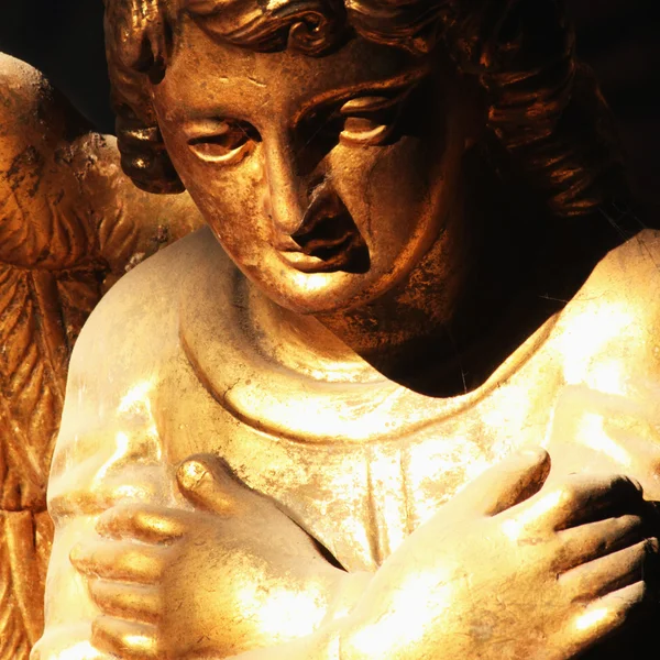 Gold angel — Stock Photo, Image