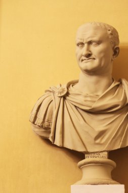 Roma İmparatorluğu'nun İmparator titus fespasian