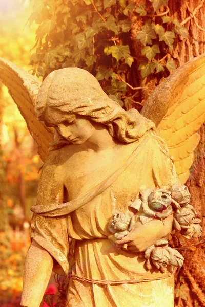 Figura de anjo — Fotografia de Stock