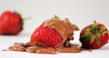 bazı farklı taze meyve dilimleri