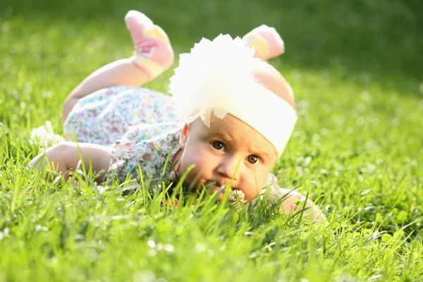 可爱的女婴躺在绿色的夏草 — 图库照片