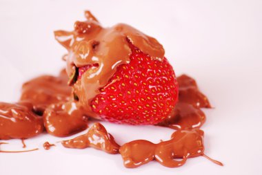 Zeytin sembolü sağlıklı ve doğal gıda olarak