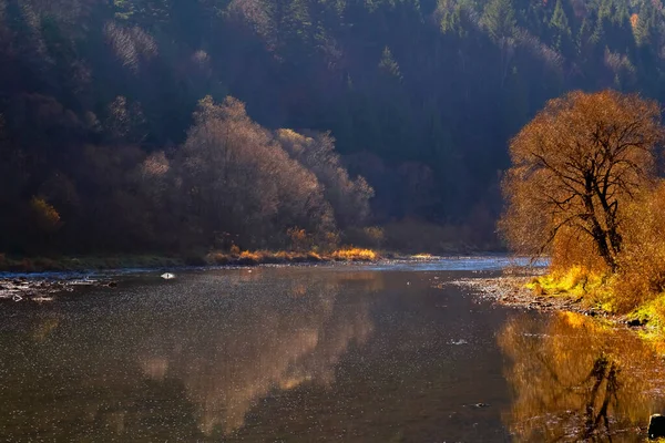 Herbstliche Fluss Berg Und Waldlandschaft Sonnenlicht Selektiver Fokus Auf Baum — Stockfoto