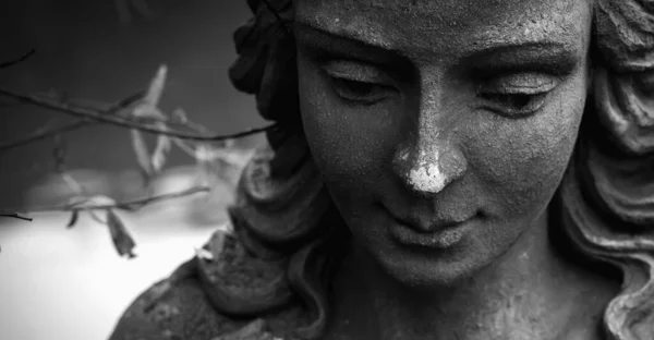 Krásná Olympijská Bohyně Lásky Afrodita Venuše Fragment Starověké Sochy Černobílý — Stock fotografie