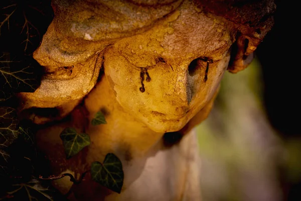 Ангел Плачет Фрагмент Древней Статуи Смерть Боль Страх — стоковое фото