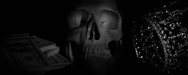 Immagine Bianco Nero Del Cranio Umano Con Corona Denaro Come — Foto Stock