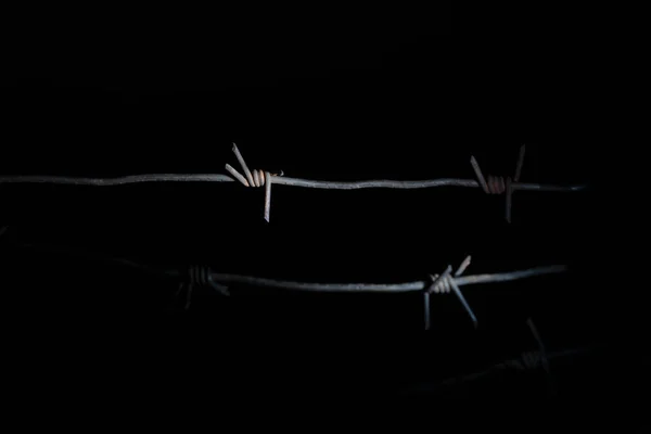 Kavramsal Görüntü Dikenli Tellerin Ardında Özgürlüğünü Kaybetmek Suç Gangsterlik Hapis — Stok fotoğraf