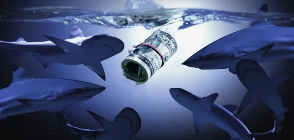 Conceptual Metaphorical Image Business Money Sharks Selective Focus Dollar Bill — Foto Stock