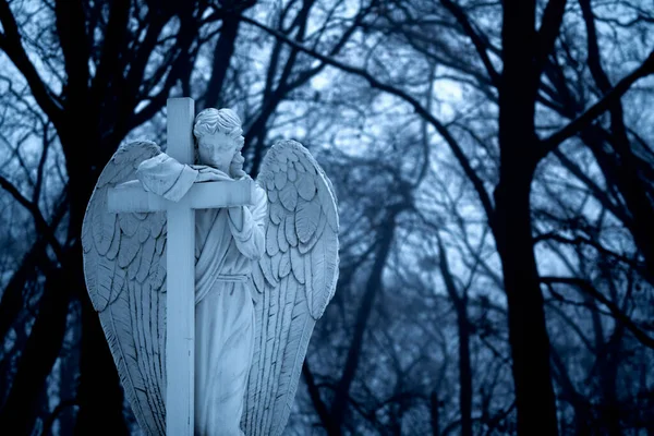 Hermoso Ángel Muerte Contra Paisaje Bosque Niebla —  Fotos de Stock