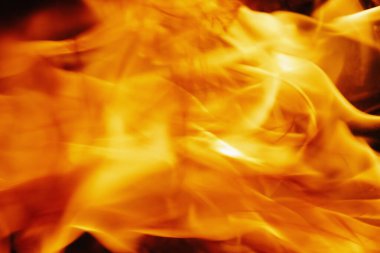 Alevlerin güzel bir görüntüsü. Uzayı kopyala Yatay resim.