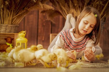 Küçük ördekleri olan çok mutlu bir genç kızın portresi. Paskalya ve tatil konsepti. Boşluğu kopyala.