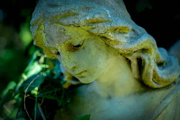 Dramatic Facial Expression Beautiful Angel Fragment Ancient Statue Close Horizontal — Stock Photo, Image