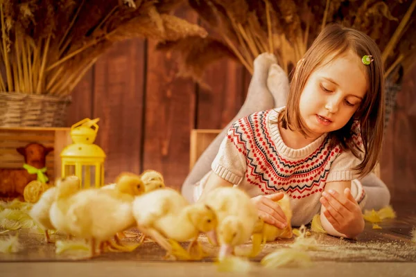 Portrait Very Happy Young Beautiful Girl Little Ducks Easter Holiday — Stock Photo, Image