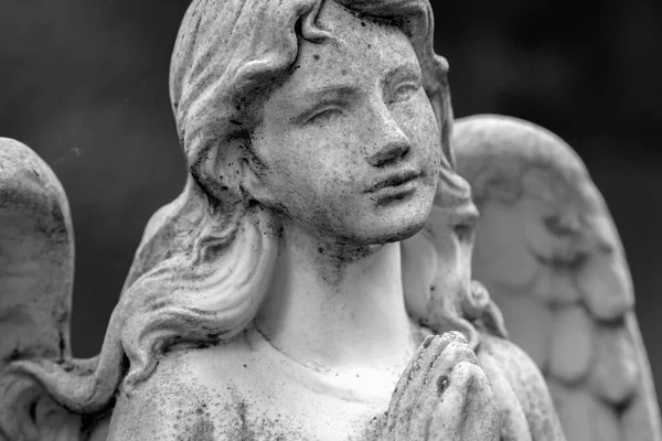 Svart Och Vit Bild Vacker Ängel Forntida Staty — Stockfoto