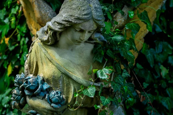 Piękny Anioł Starożytny Kamienny Posąg Opuszczonym Cmentarzu Obraz Poziomy — Zdjęcie stockowe