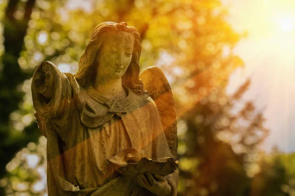 Όμορφος Άγγελος Σπασμένο Φτερό Έντονο Φως Αντιγραφή Χώρου — Φωτογραφία Αρχείου