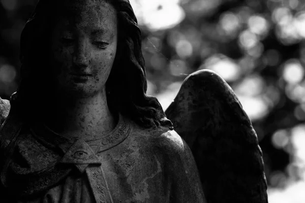 壊れた翼を持つ美しい天使の黒と白の画像 水平像 — ストック写真
