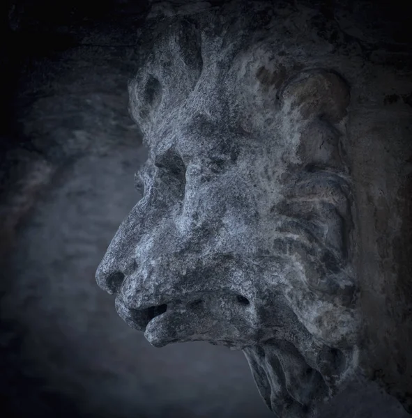 Fragment Ancient Stone Statue Head Lycan Werewolf — Stock Photo, Image