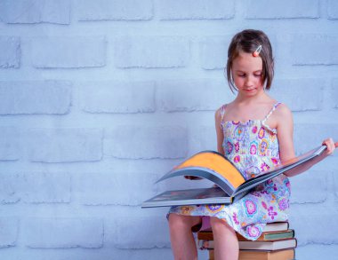 Kitabı okuyan genç ve güzel bir kızın portresi. Konsept: bilgiye susamışlık.