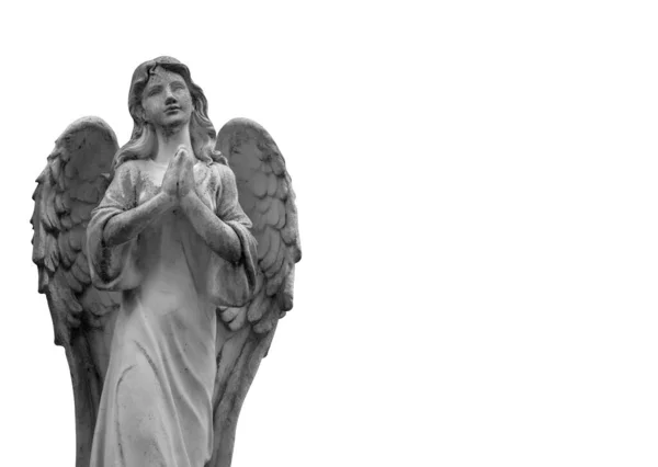 死と痛みの象徴として美しい天使 白地に隔離された古代の像 白黒の画像 — ストック写真
