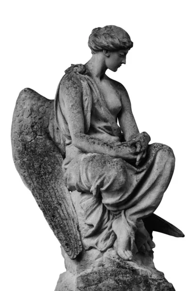 白い背景に隔離された天使の古代の像 白と黒の縦像 — ストック写真
