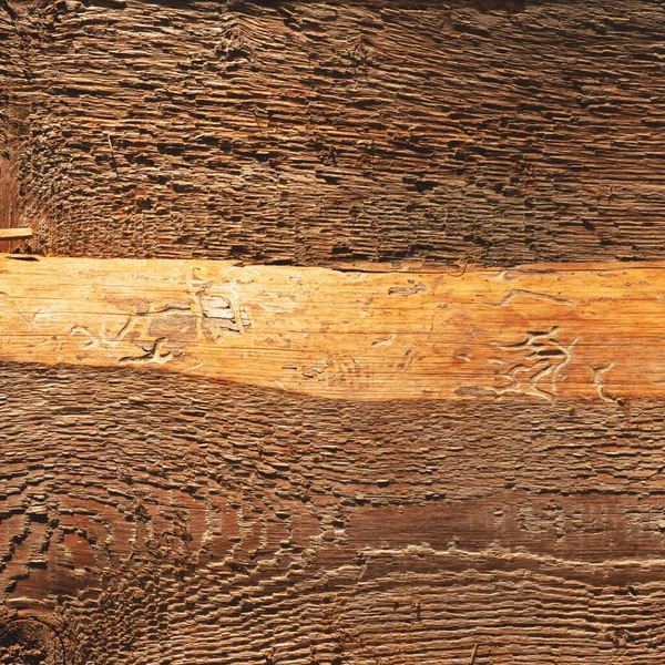 Eski kahverengi ahşap doku arka plan. Kopya alanı.