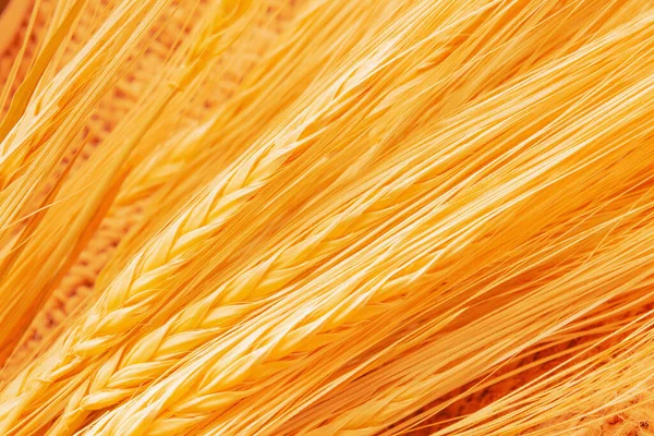 Chiuda Spighe Grano Oro Macro Immagine Spighe Grano — Foto Stock